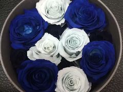 -ROSEONLY诺誓(沈阳万象城店)
