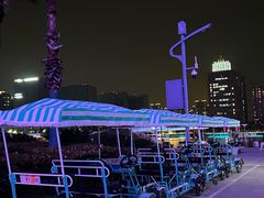 -金沙湖公园