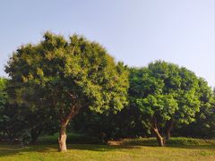 -立新湖公园