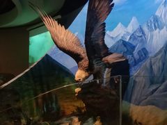 -陕西自然博物馆