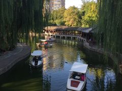 -团结湖公园