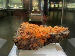 -湖南省地质博物馆