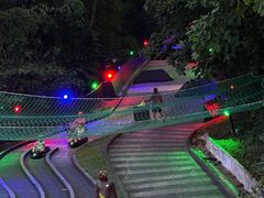 -圣淘沙天际线斜坡滑车