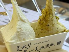 -野人先生现做冰淇淋(北京悠唐购物中心店)