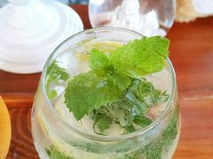 -柴犬高等学院·狗咖·柴犬售卖·宠物训练