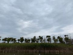 -春花秋色城市公园