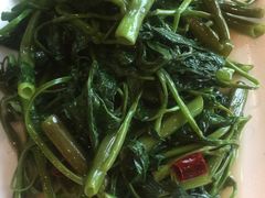 -胖大姐黄辣丁鱼庄(新津店)