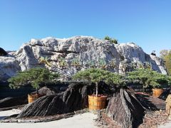 -北京西山国家森林公园