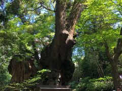 -来宫神社