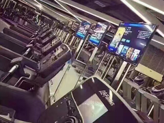 -金吉鸟健身游泳