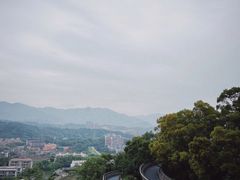 -福道