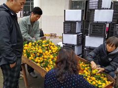 -嘿嘛仓储购(华明店)