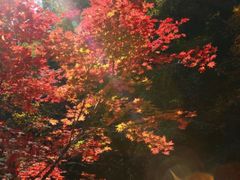 -丹东天桥沟景区