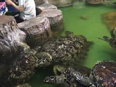 -重庆欢乐海底世界