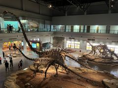 -自贡恐龙博物馆