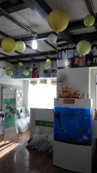 -爱儿宝孕妇儿童亲子摄影(月亮河店)