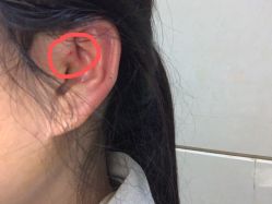 -花师傅