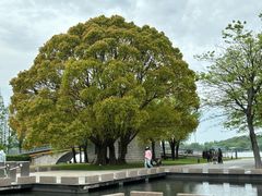 -上海月湖雕塑公园