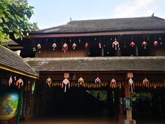 -西双版纳原始森林公园