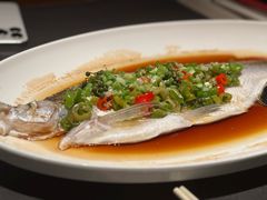 -润苑·悦椿轩(徐汇万科中心一期店)