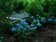 -常州古运河南大街文化旅游区-人民公园