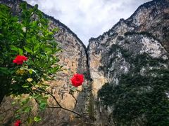 -梭布垭石林景区