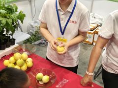 -南宁国际会展中心