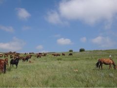 iphone_upload_pic-塞罕坝国家级自然保护区