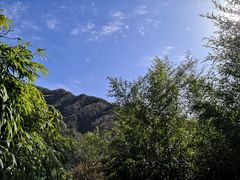 -王顺山国家森林公园