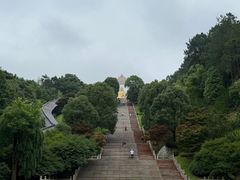 -庐山风景名胜区-东林大佛