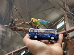 -南宫五洲植物乐园