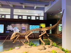 -自贡恐龙博物馆