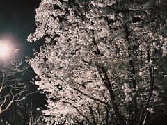 -龙美术馆(西岸馆)