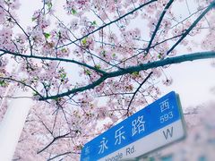 -永乐路-路侧停车场
