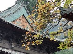 -报恩寺(平武县)