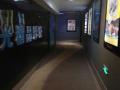 -AMG海上明珠影城(上海环球港RealDCinema店)