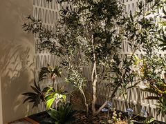 -米漾酒店(深圳会展中心岗厦地铁站店)