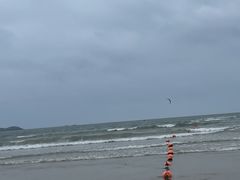 -坛南湾阿强农家乐.海鲜大排档老字号(福州地标美食店)