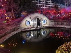 -南宫五洲植物乐园