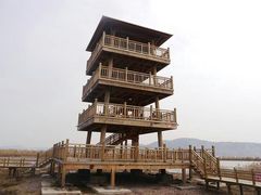 android_upload_pic-漩门湾国家湿地公园