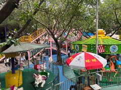 -顺德大良半月城游乐场