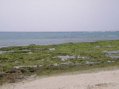 -濑长岛