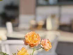 -Beans Solo豆号咖啡(百家湖花园店)