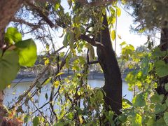 -少林寺欢喜地素斋馆