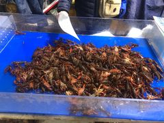 -济南海鲜大市场