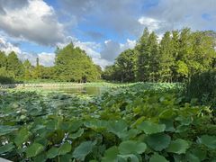 -白塘生态植物园