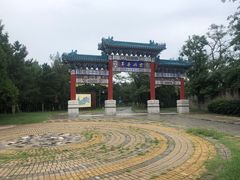 -云岗森林公园