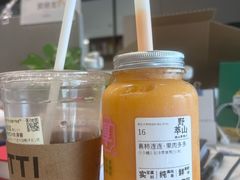 -野萃山·潮汕厚果汁(十亩地店)