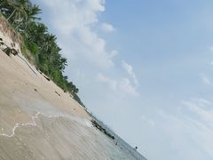 -东郊椰林