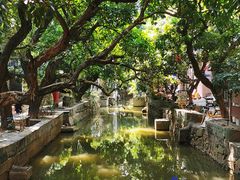 -小洲村